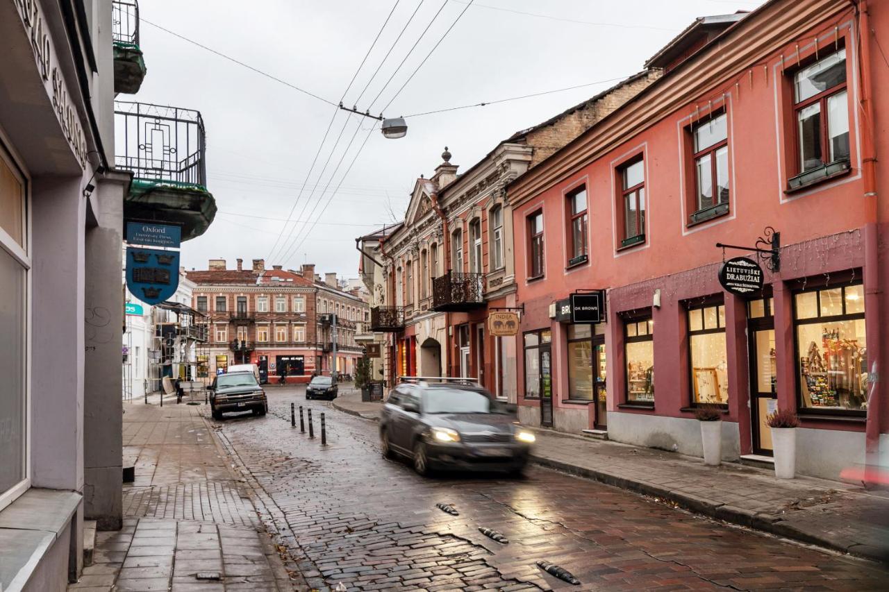 Lovely Apartment Traku Str. Вилнюс Екстериор снимка