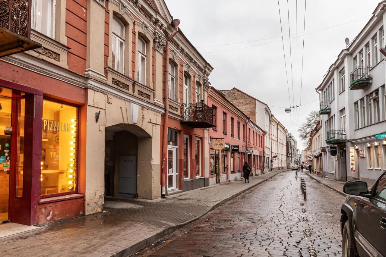 Lovely Apartment Traku Str. Вилнюс Екстериор снимка